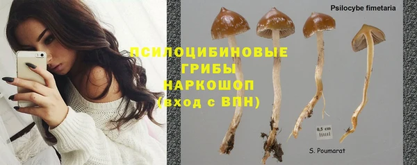 бутират Бугульма