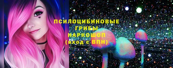 хмурый Нягань