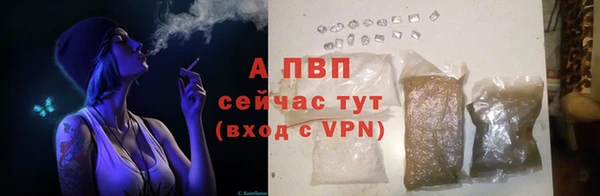 COCAINE Бородино